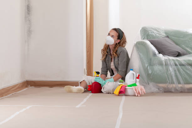Reliable Mold Cleanup contractor in Saint Leonard, MD by Cheap Mold Removal